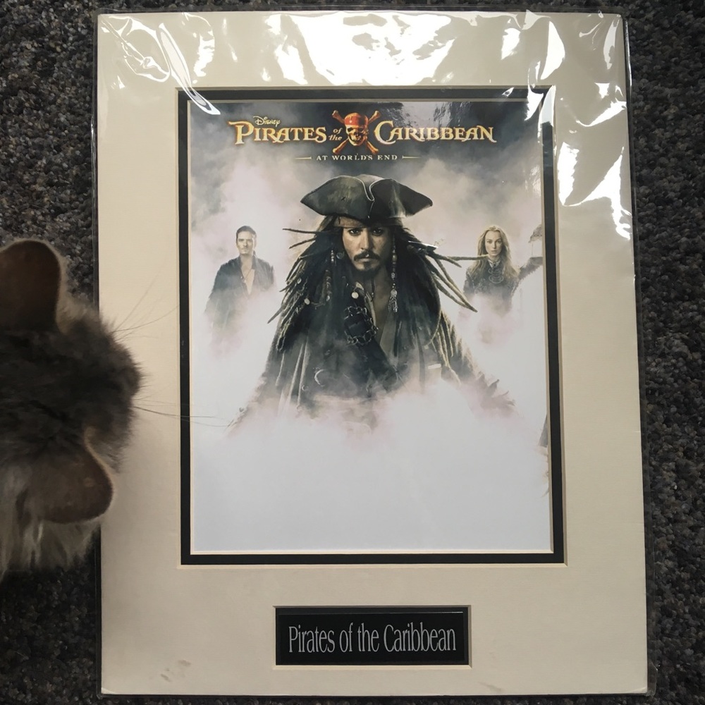 Disney Pirates of the Caribbean Matted Photo - Picture 2 of 8